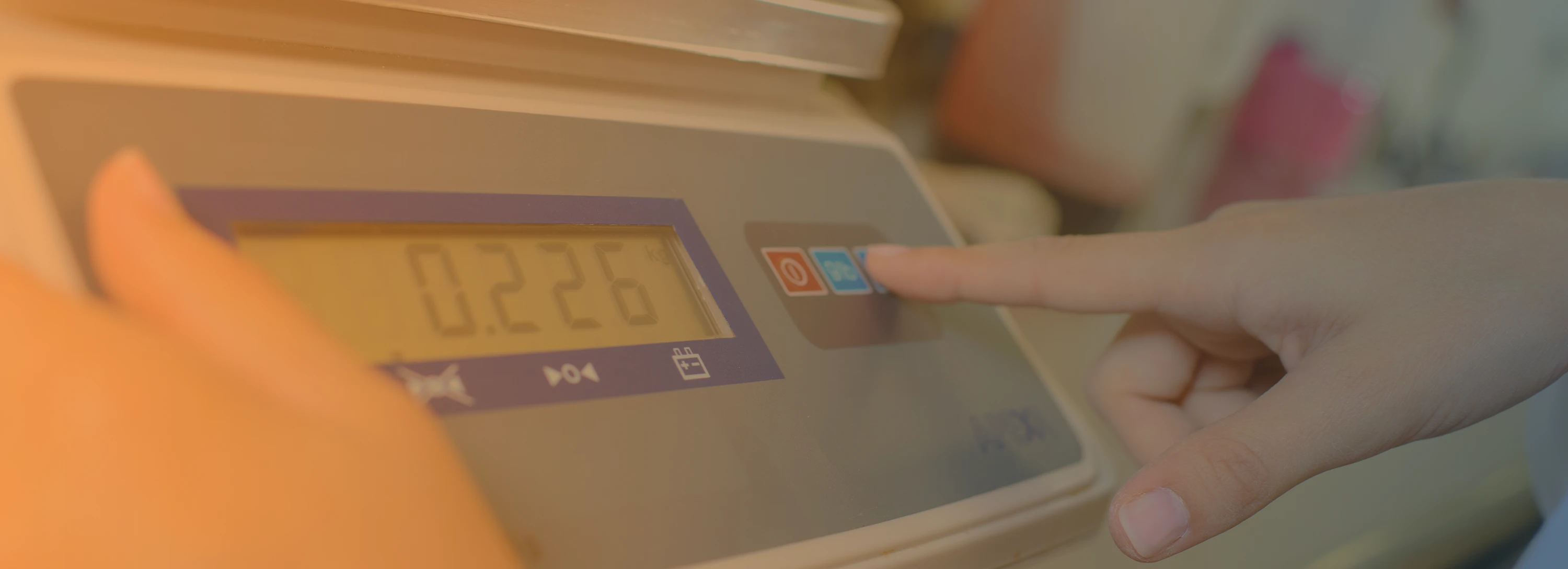 vechta-waagen-industriewaagen-komponenten-kategorie-waagen-komponenten