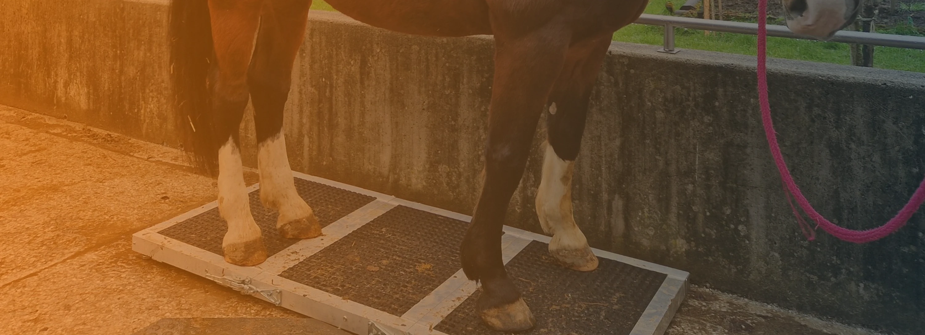 vechta-waagen-industriewaagen-komponenten-home-agrarwaagen