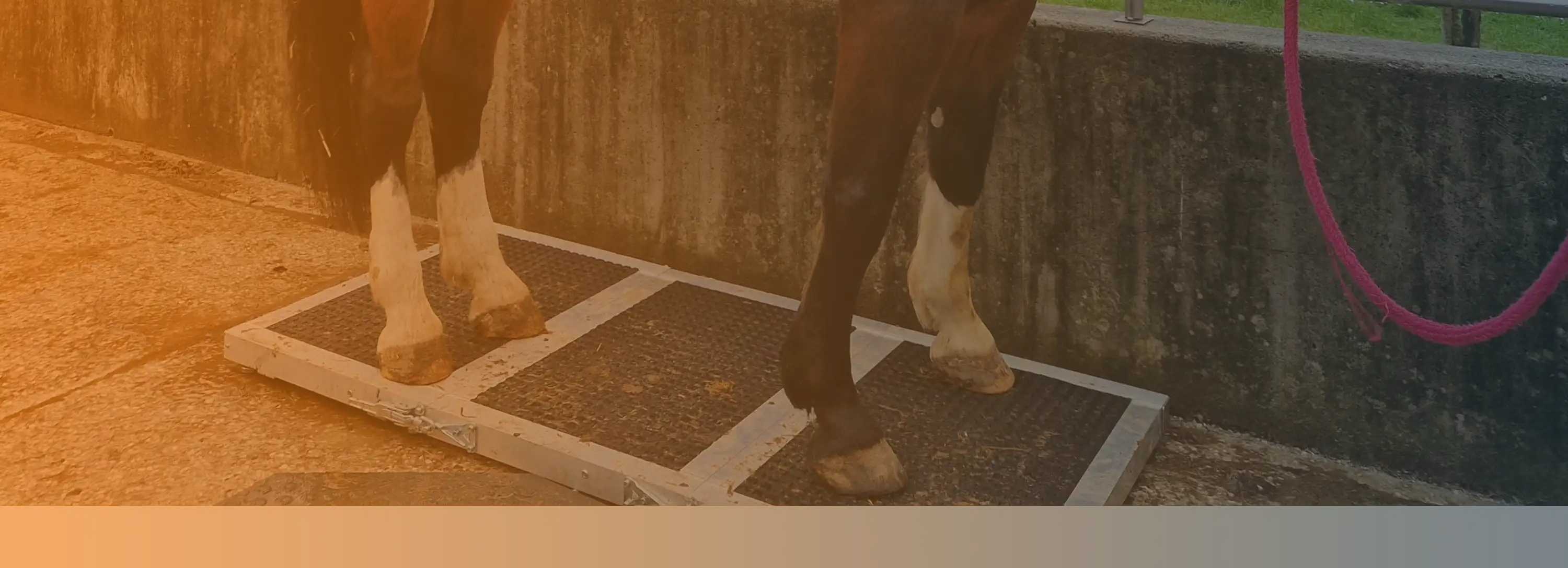 vechta-waagen-industriewaagen-komponenten-kategorie-agrarwaagen