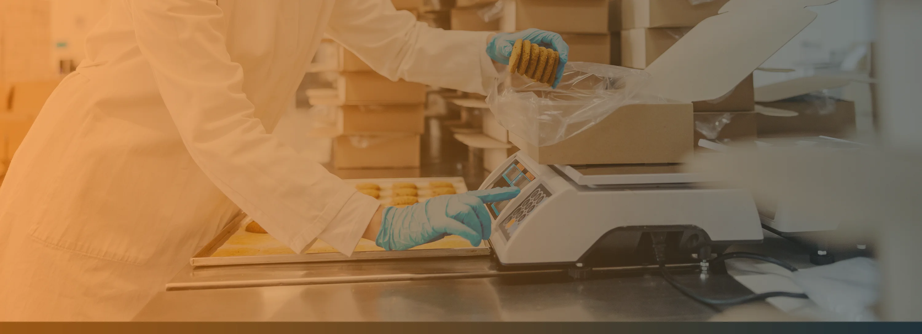 vechta-waagen-industriewaagen-komponenten-kategorie-qualitaetsmanagement