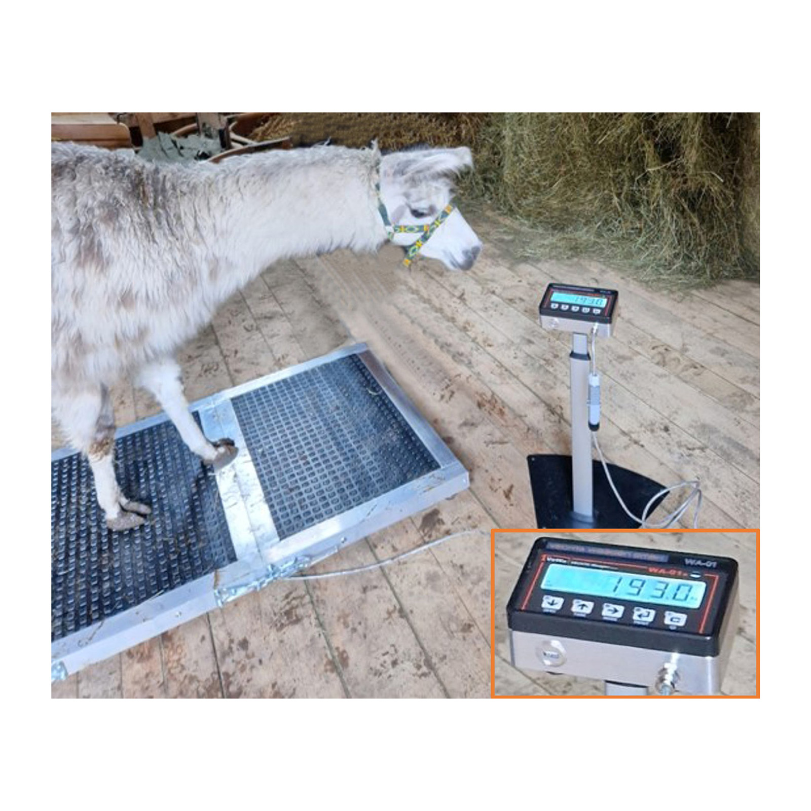 Pferdewaage PW-03