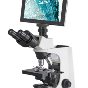 Durchlicht Mikroskop OBL Kern