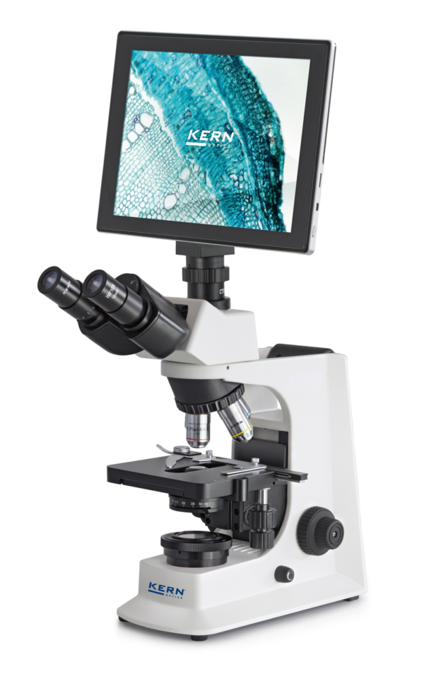 Durchlicht Mikroskop OBL Kern